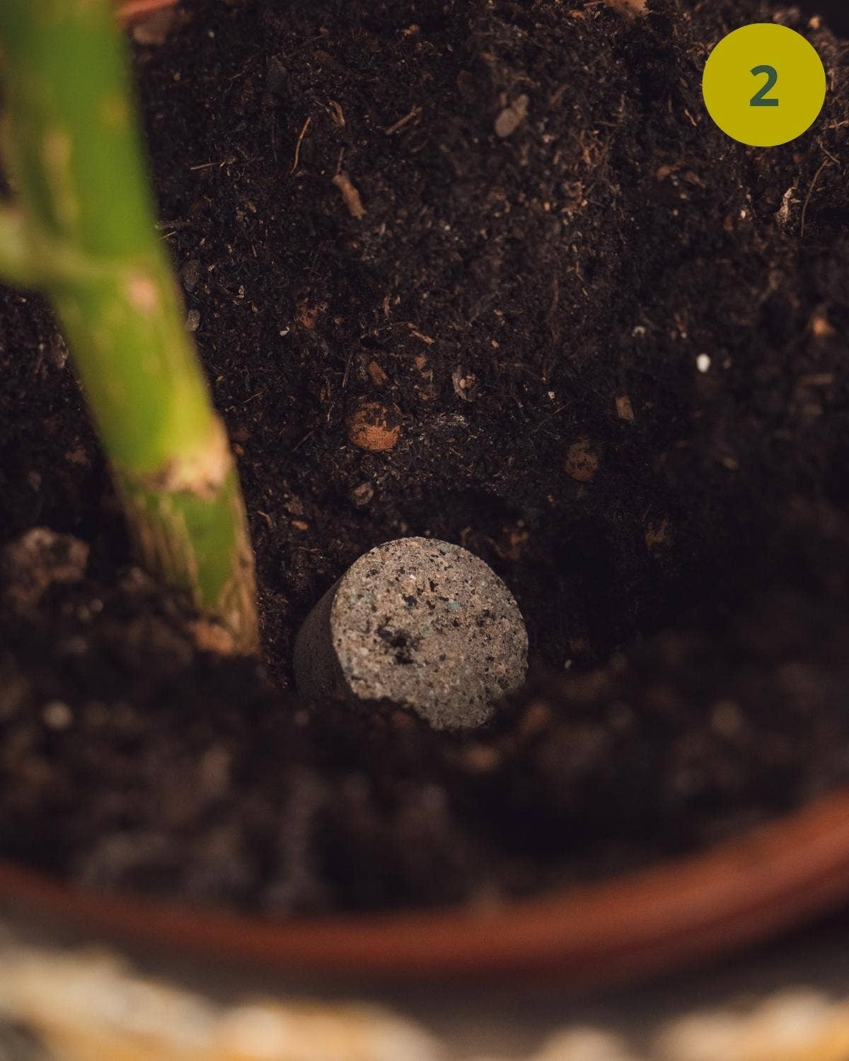 Grow your ownn - Wholesale Fertilizer - Plantfood (organic fertilizer/nutrients)7