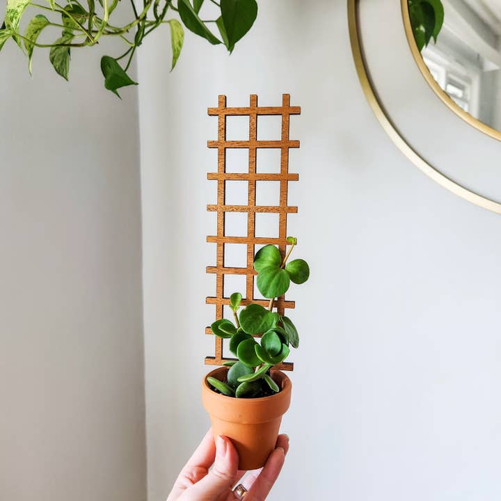 Leaf & Node - Wholesale Trellis - Ladder Indoor Wooden House Plant Trellis (2 Size Options)