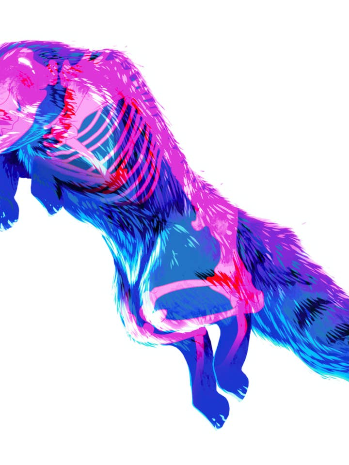 Autocollant en vinyle brillant Skelly Fox pour la vente par Lil Biscuits Design