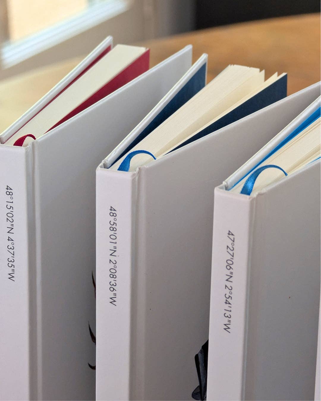 Varek Illustrations - Venta al por mayor Cuadernos - Cuaderno A5: La Gamba5