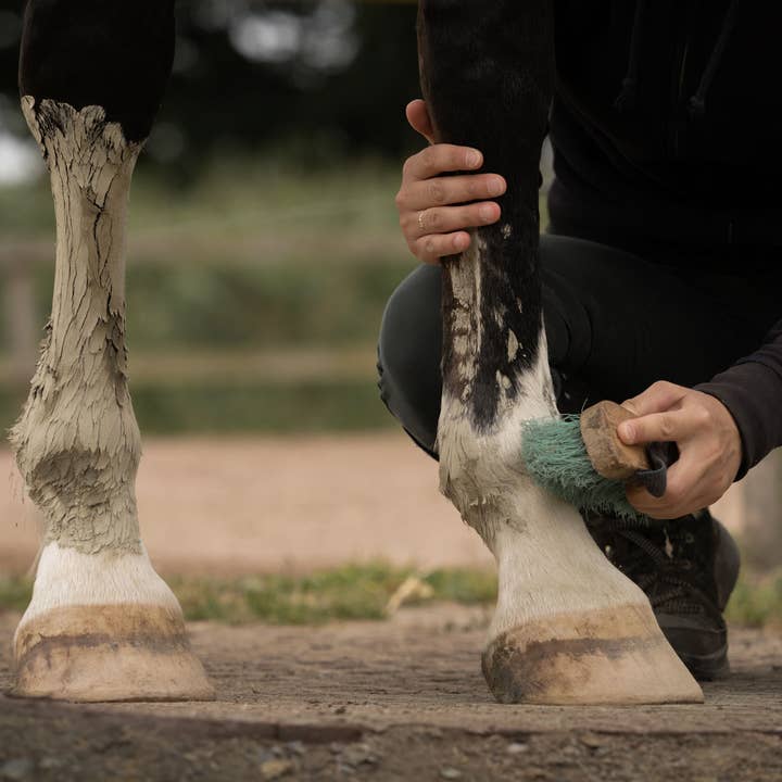 Nellumbo - Venta al por mayor Equipamiento de equitación - Arcilla para caballos - Drenaje y Desintoxicación - 1,5KG