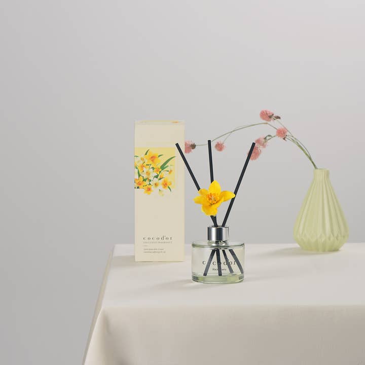 Cocodor Italy srl - Wholesale Reed Diffuser - Cocodor Daffodil Diffuser 120ml (4.0oz) White Musk