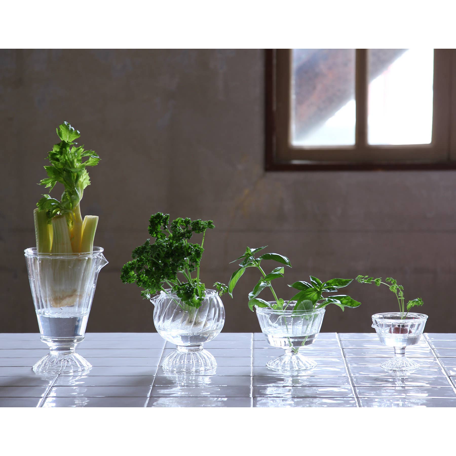 Time Concept - Vendita all'ingrosso Vasi - Vasi idroponici ReGrow per verdure7