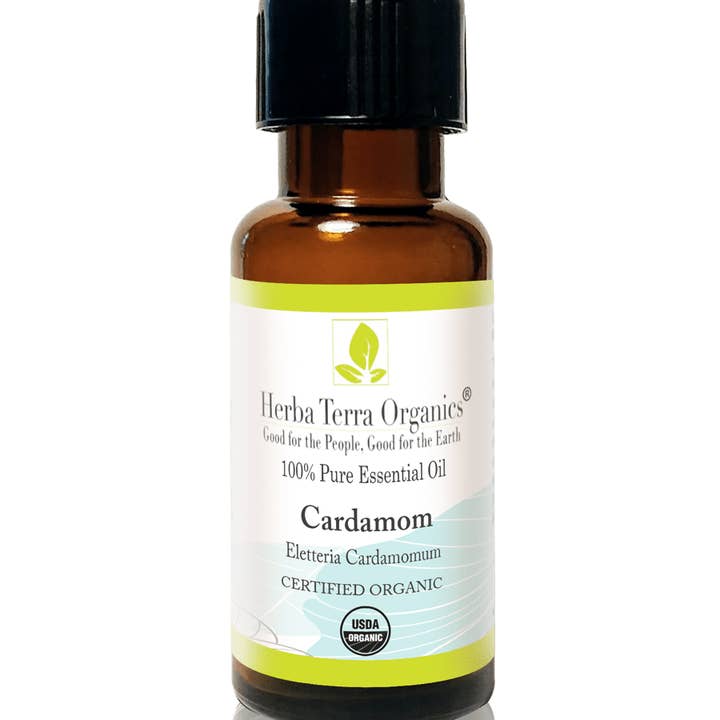 USDA organisk kardemomme æterisk olie 10 ml for engroshandel hos Herba Vera Organics