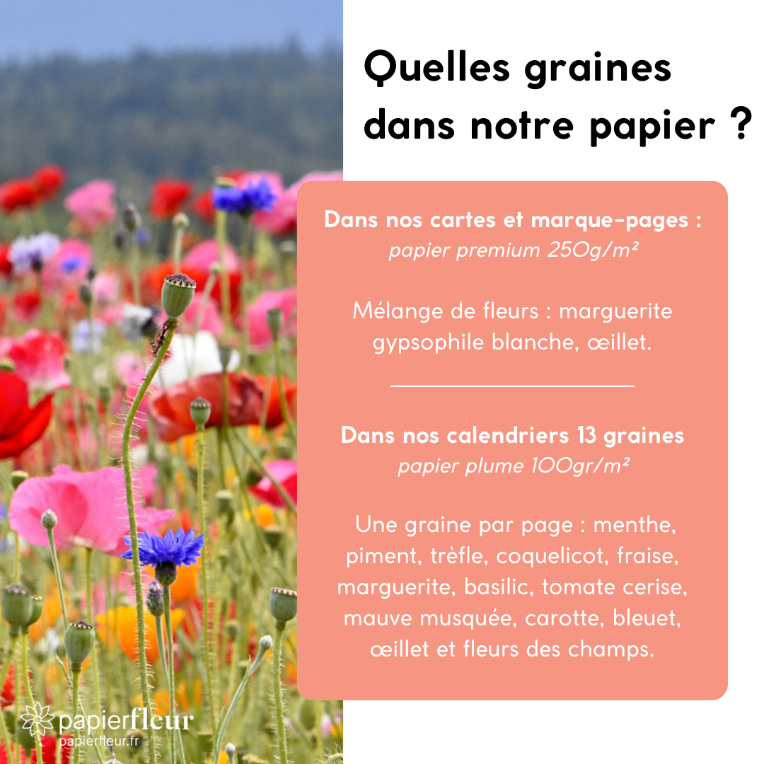 Papier Fleur - Wholesale Plant Seeds - Heart to plant - Flower fields Thank you3