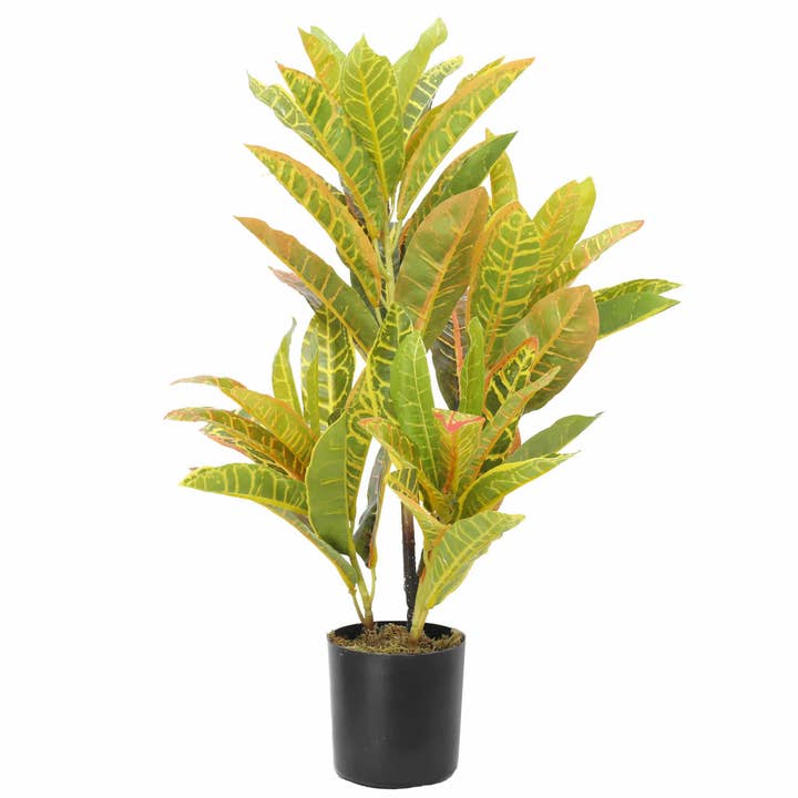 Designer Plants AU - Wholesale Artificial Plant - Artificial Potted Flaming Zebra (Codiaeum variegatum / crotons) 55cm