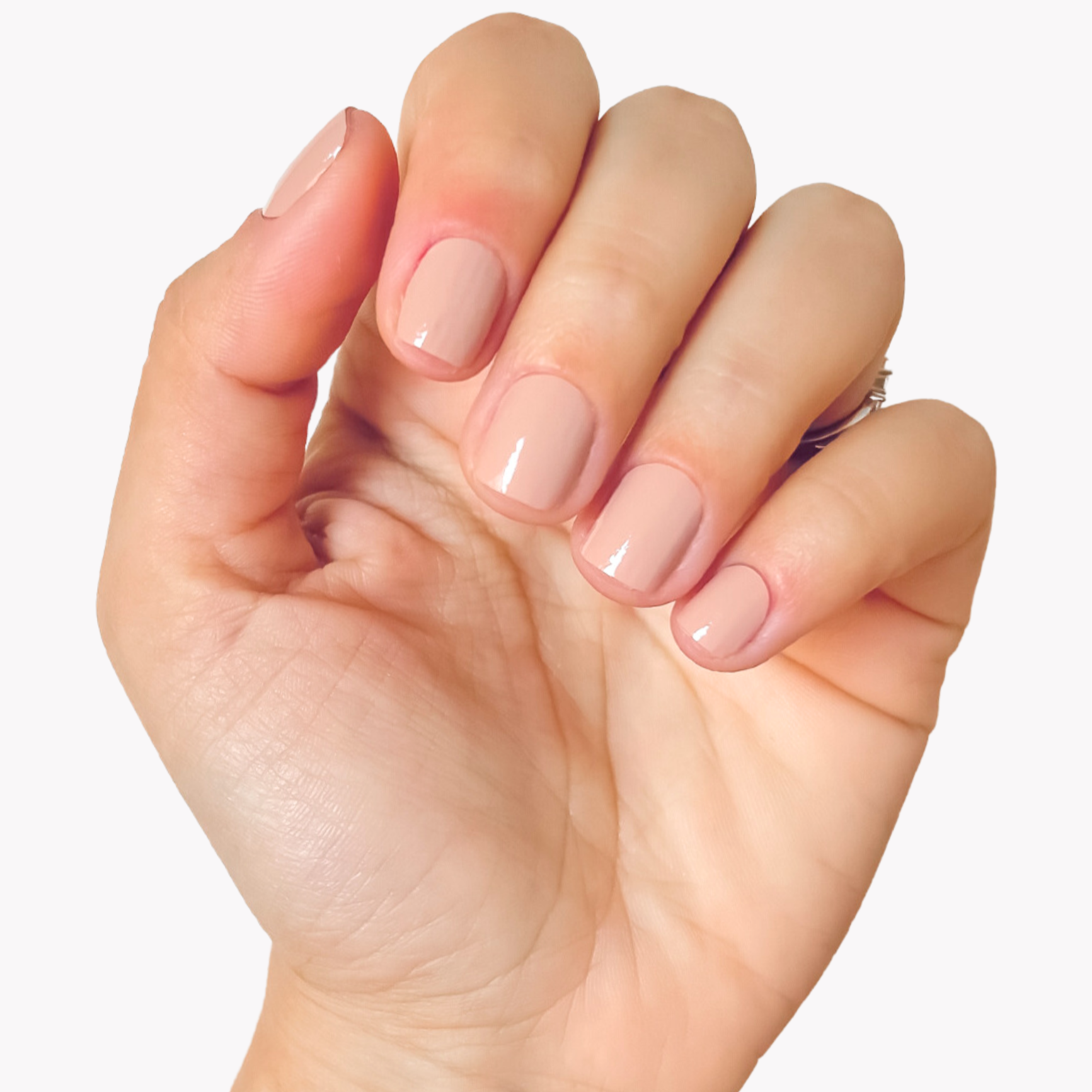 IDIDATI SL – Engroshandel Neglelak – Hud0