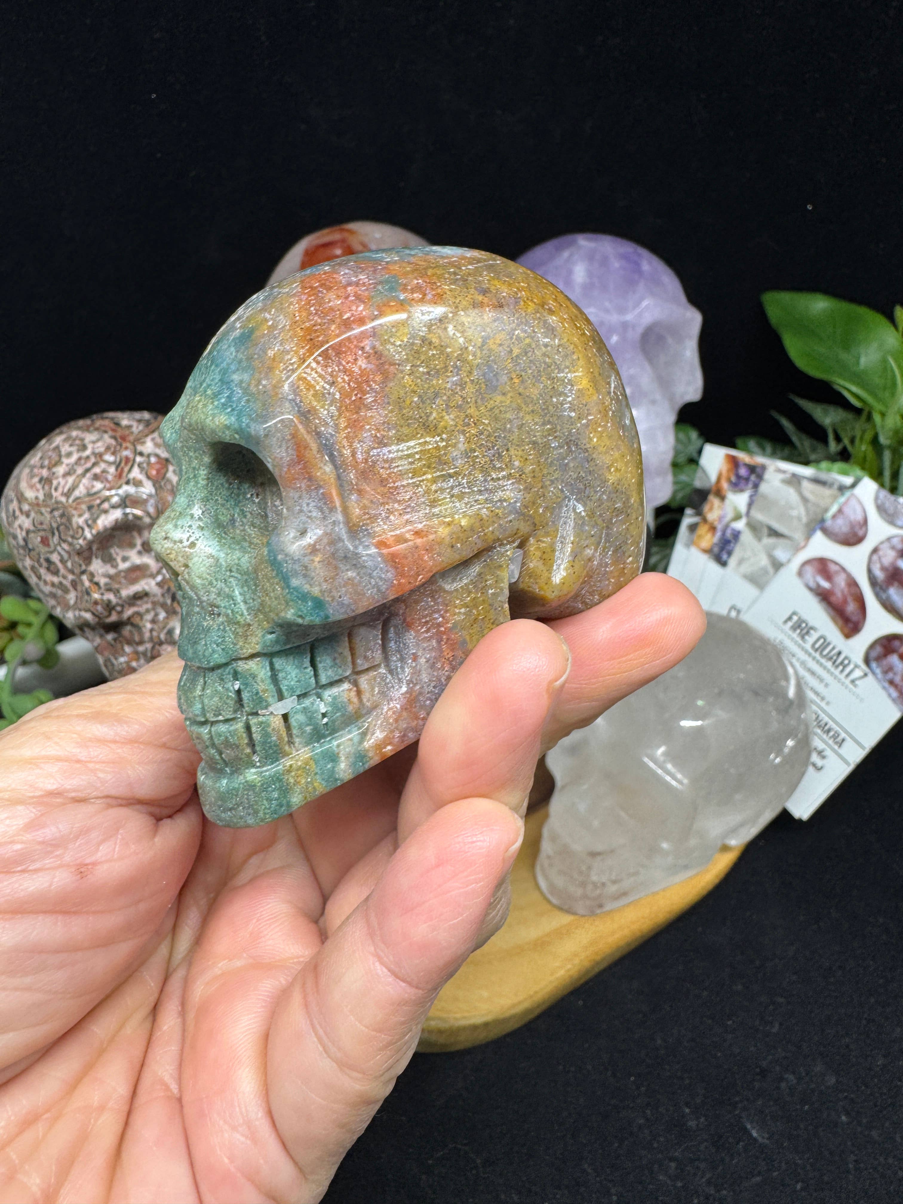 The 7 Directions - Wholesale Spiritual Stone/Crystal - 6 pc Ocean Jasper Leopardite fire quartz skull bundle G8054