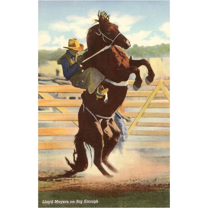 Postcard CB-13 Bronco Buster for wholesale by Found Image Press