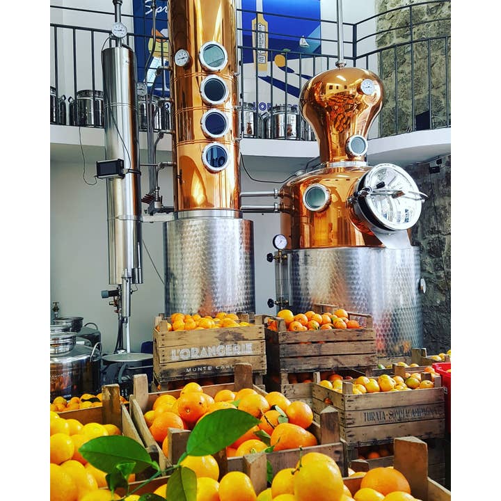 Upptäck den verkliga Spirit of Monaco för wholesale av La Distillerie de Monaco