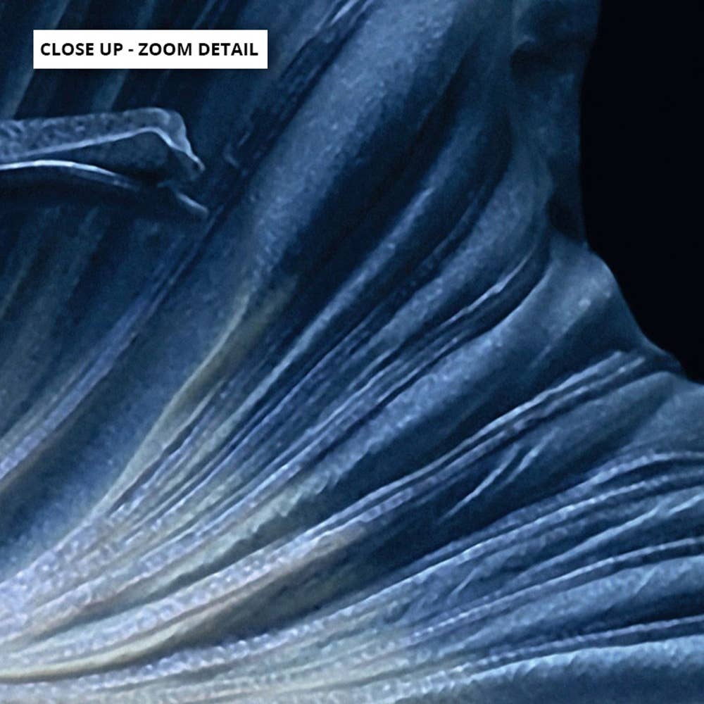 PRINT AND PROPER - Wholesale Art print - Fighting Fish Art Print. Japanese Fish Print. Blue Betta Art2