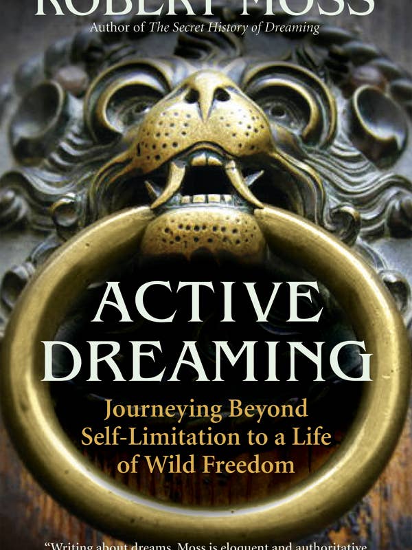 Active Dreaming PB for wholesale by New World Library