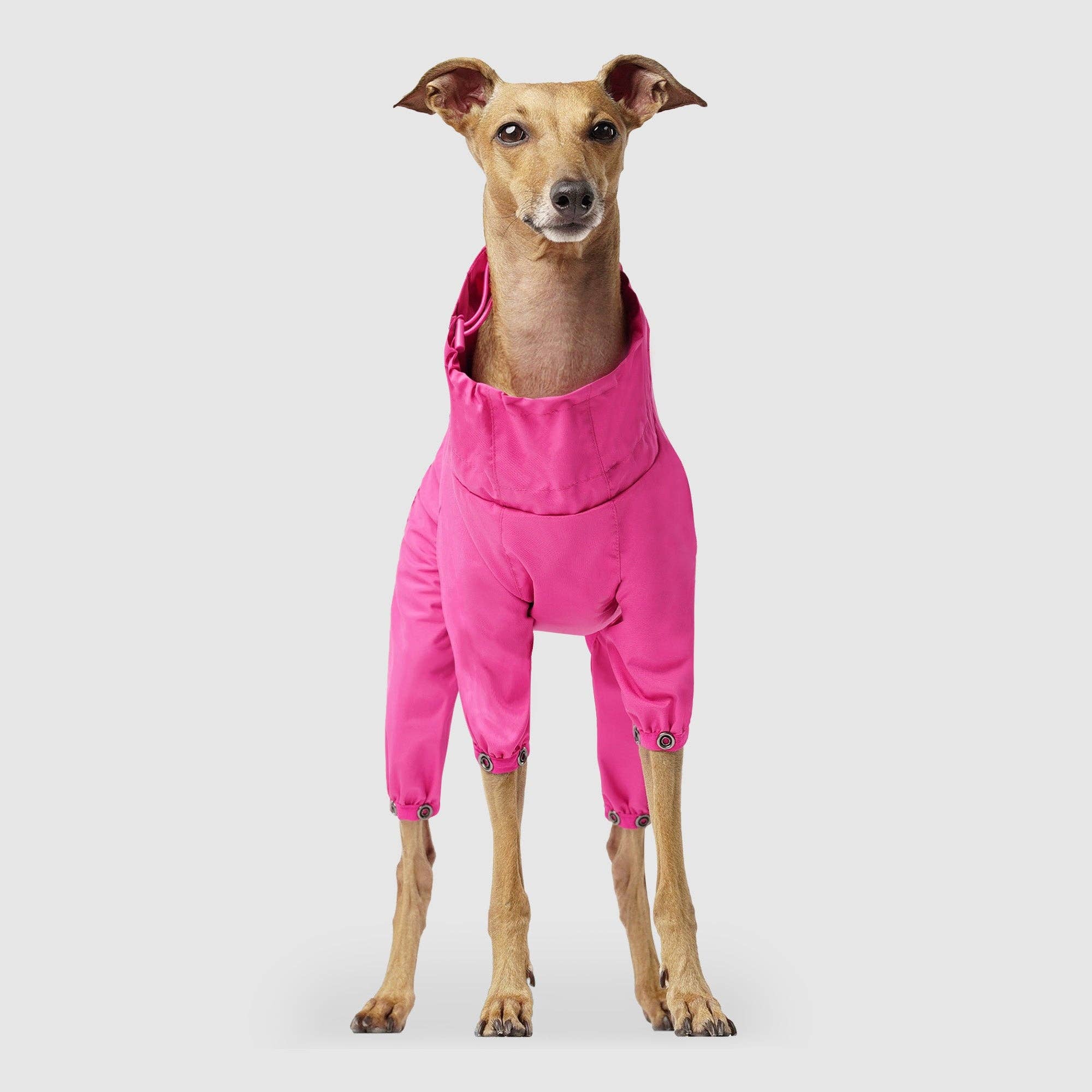 Canada Pooch – wholesale Overall

 - Katt och hund – The Slush Suit – hundoverall5