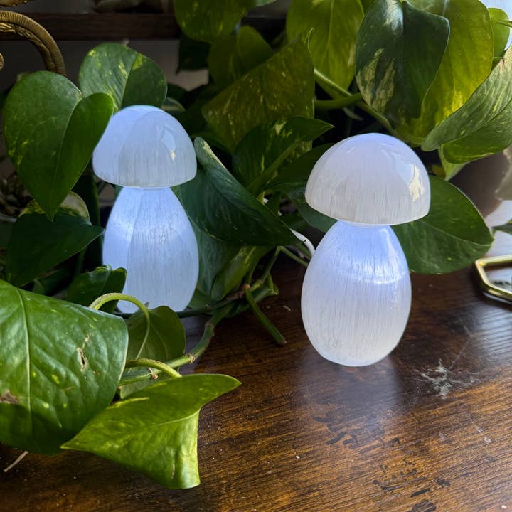 Sapphire & Sage - Wholesale Accent/Desk Lamp - Selenite Mushroom Lamp | Calming Crystal Decor, 4.5 in. Tall