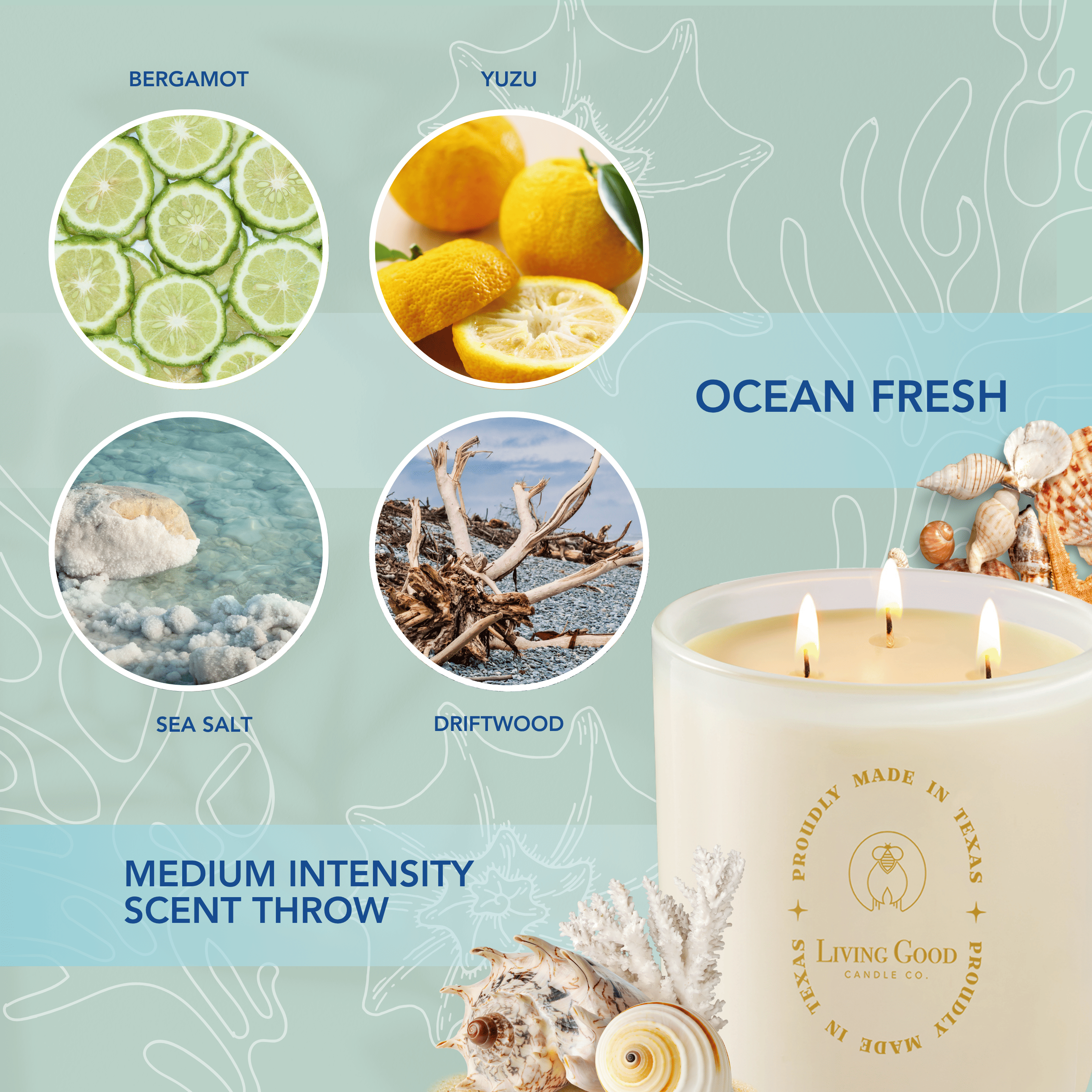 Living Good Candle Co. - Wholesale Jar/Filled Candle - Coastal Breeze - Beeswax Candle - Ocean Fresh Citrus4