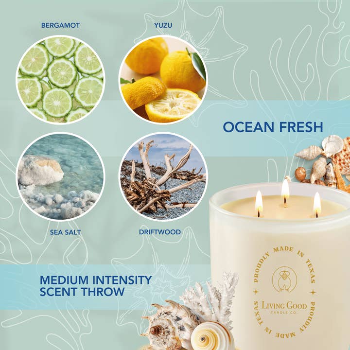 Living Good Candle Co. - Wholesale Jar/Filled Candle - Coastal Breeze - Beeswax Candle - Ocean Fresh Citrus4