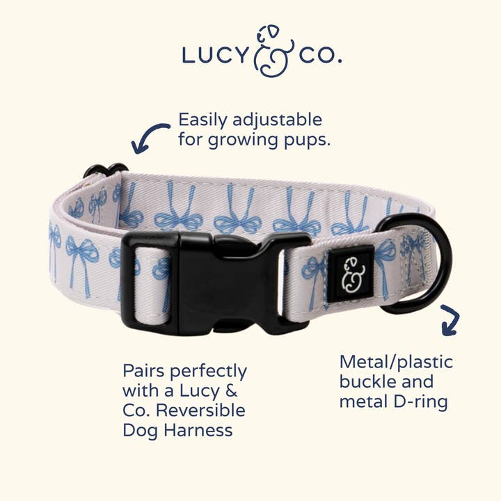 Lucy & Co. - Wholesale Pet Collar - Dog - Bowwow Wow! Collar5