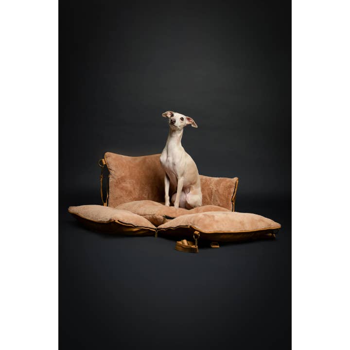 NOAH AND PAW LLC - Wholesale Pet carrier – Cat/dog - Dog Car Seat Carrier Orthopedic Crushed Foam, Camel, Vegan Leather5