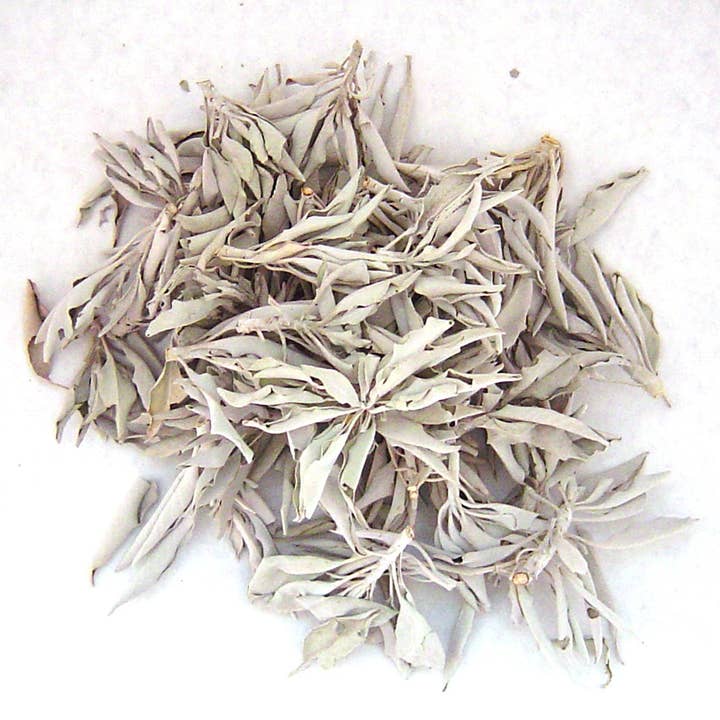 Turquoise Cloud - Loose Leaf, White Sage Clusters Bulk for wholesale by The Incense Sampler Works