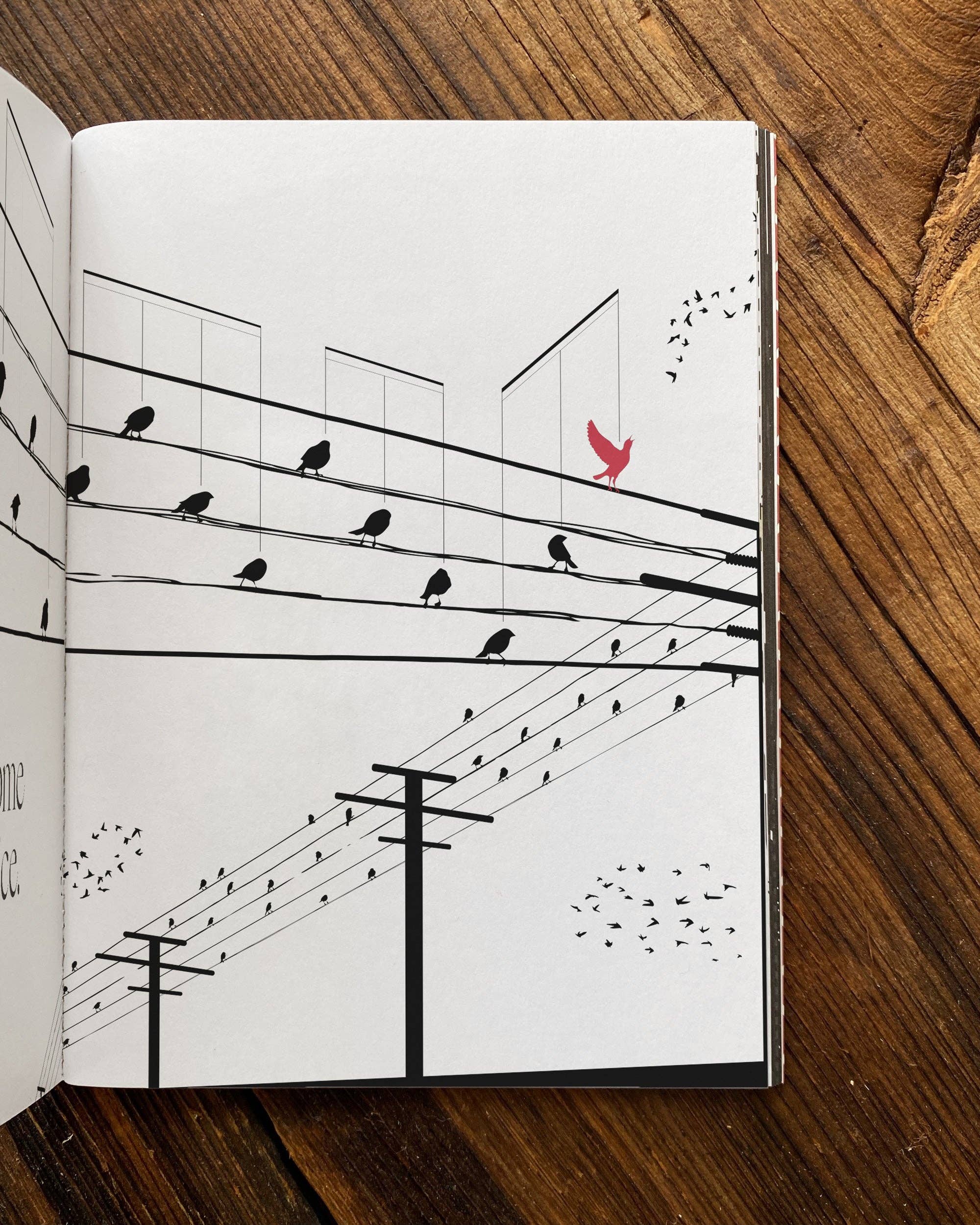 Obvious State - Wholesale Poetry & Drama - Women Writers, Collected Works11