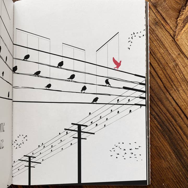 Obvious State - Wholesale Poetry & Drama - Women Writers, Collected Works11