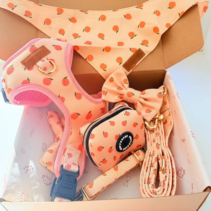 Peach Blush Dappertie™ - Mega Bundle Match (D Ring) for wholesale by Sniff & Bark