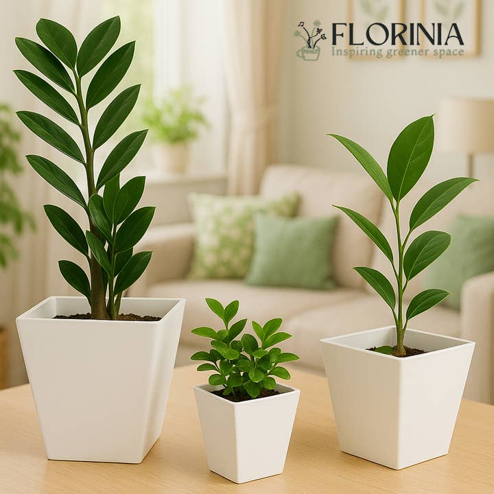 3-Piece White Plastic Square Planter Pot Set – Modern Tapered Design for wholesale by Florinia