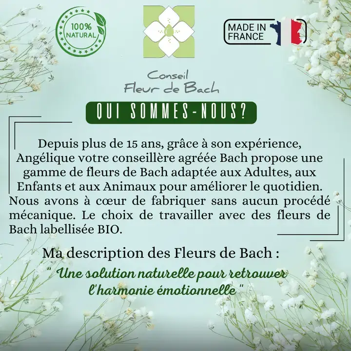 Conseil fleur de Bach - Wholesale Oral Supplement/Vitamin - Bach Flowers Weight Loss5