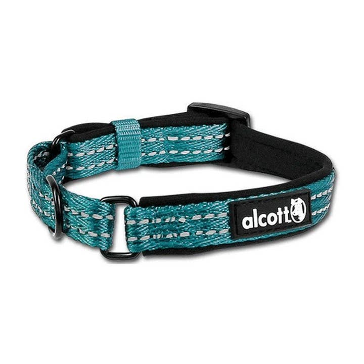 Collier martingale P.A.W. L bleu pour la vente par King Wholesale Pet Goods
