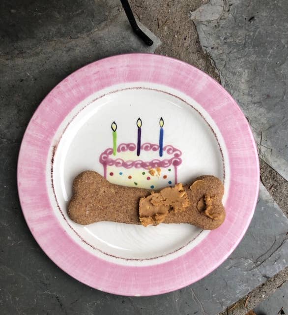 North Woods Animal Treats and Gifts - Wholesale Pet Treats - Dog - Display Crate of 24 Cookies - Bacon and Egg Bone7