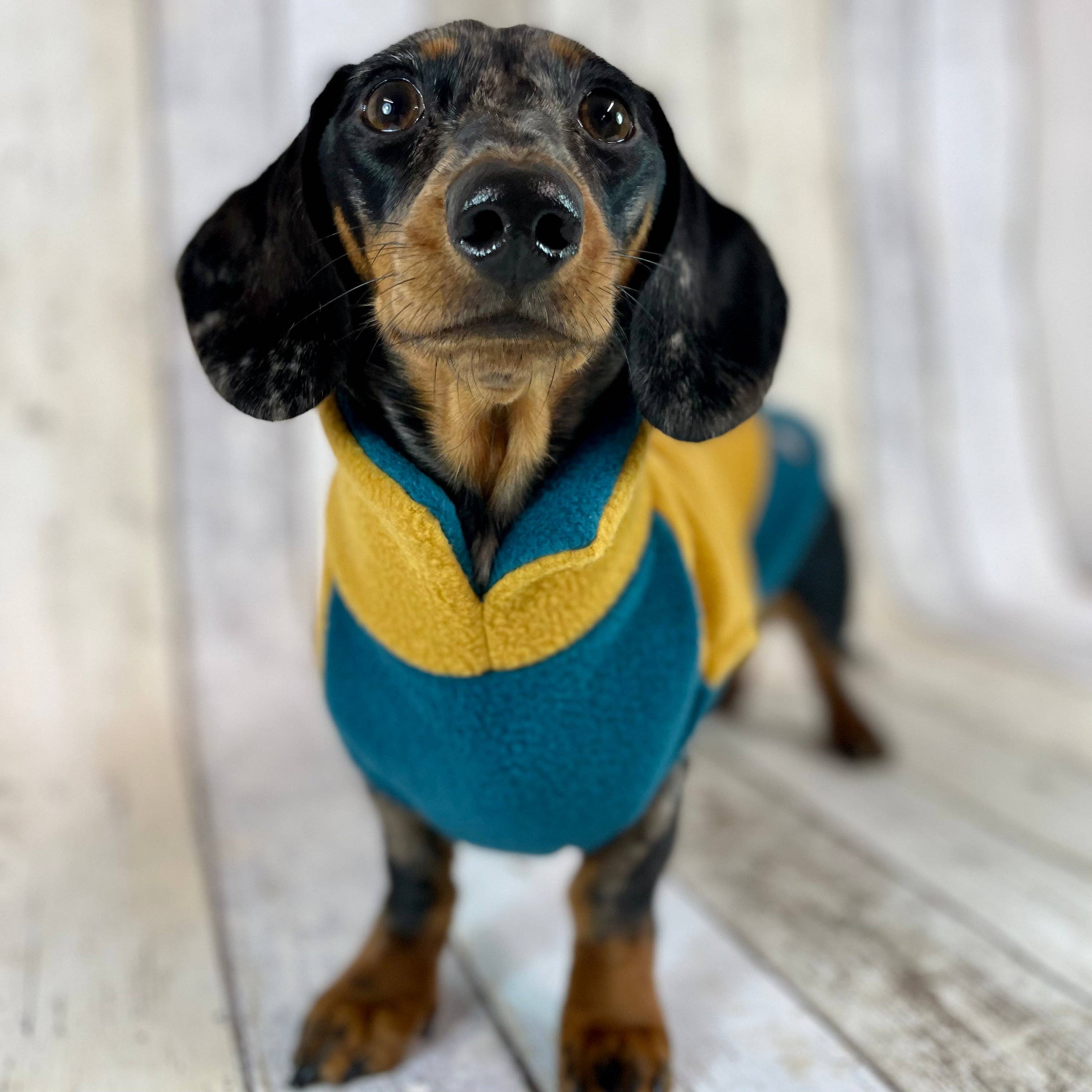 Doghouse – Großhandel Haustier-Pullover – Hund – Zweifarbiger Dackel-Fleecepullover6