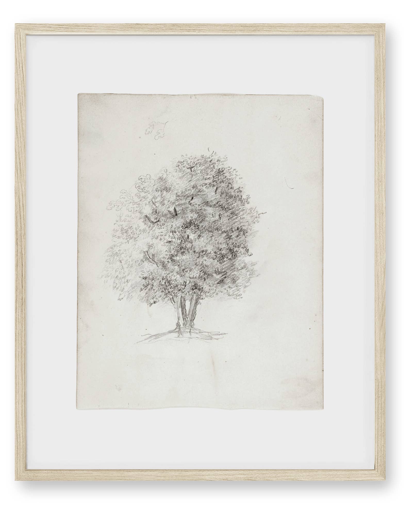 Knot & Soul - Wholesale Art Print - Apple Tree Sketch