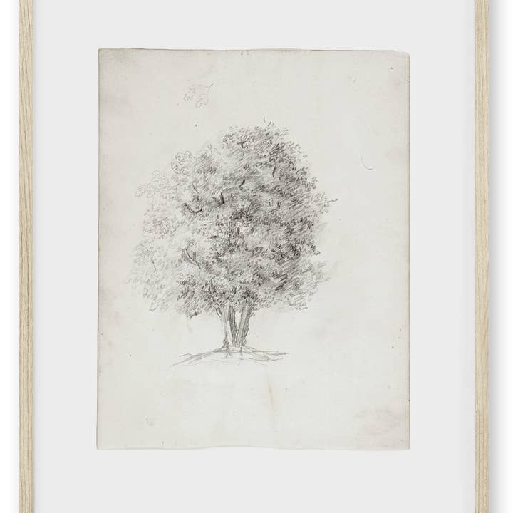 Knot & Soul - Wholesale Art Print - Apple Tree Sketch0