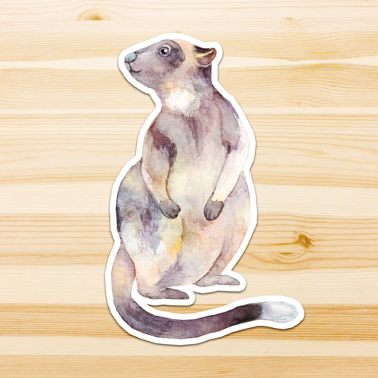 Watercolour By Cat - Wholesale Sticker - Large Australian Animal Vinyl Sticker3