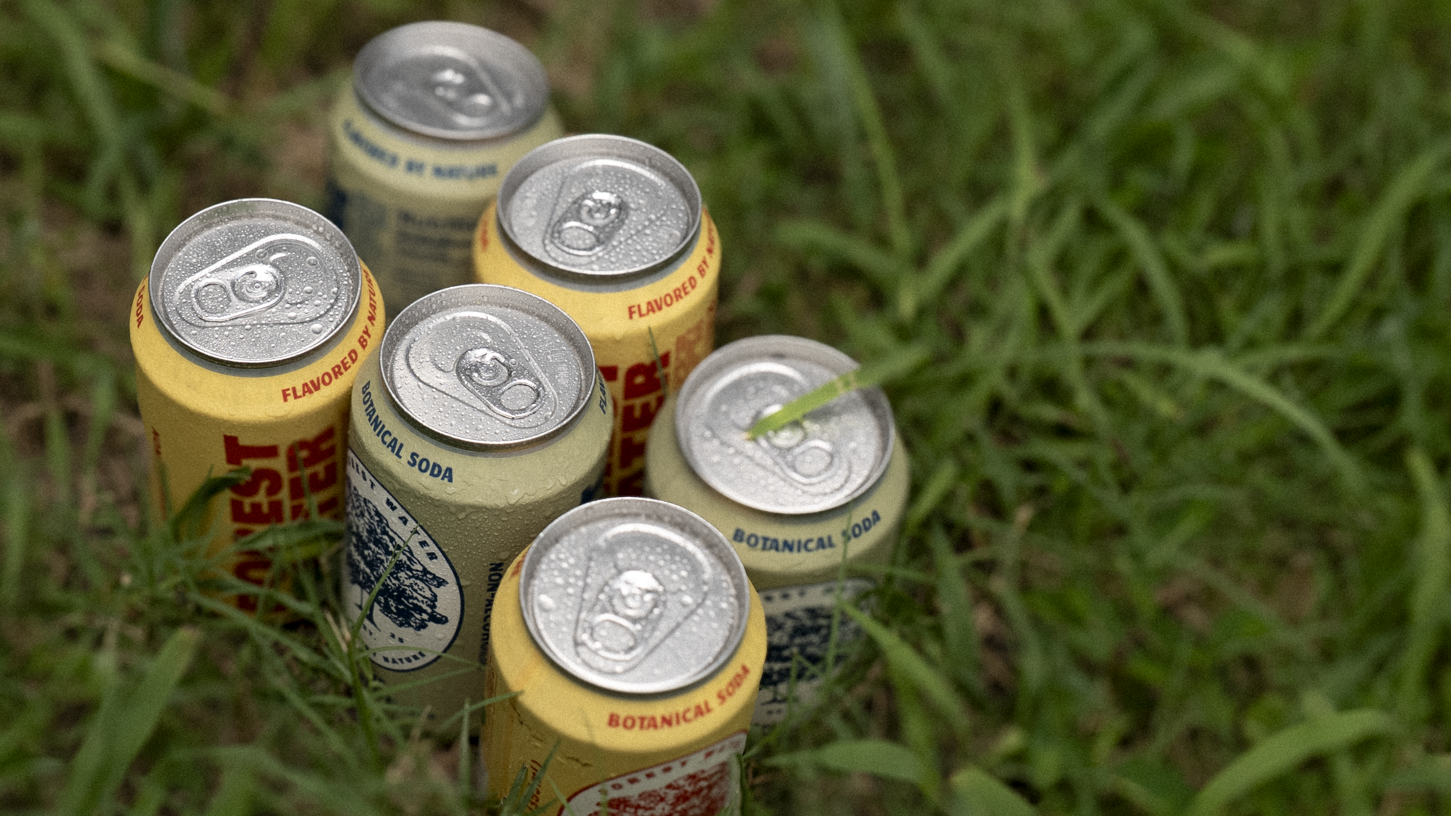 Walker Brothers - Vente Sodas/boissons gazeuses - Pack de 24 Sodas Botaniques Sans Alcool Forest Water – Variété1