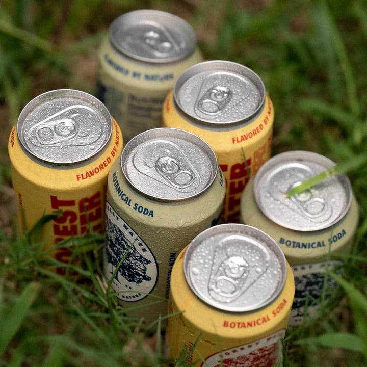 Walker Brothers - Wholesale Soda/Carbonated Drink - Forest Water Non-Alc Botanical Soda – Variety 24-Pack1