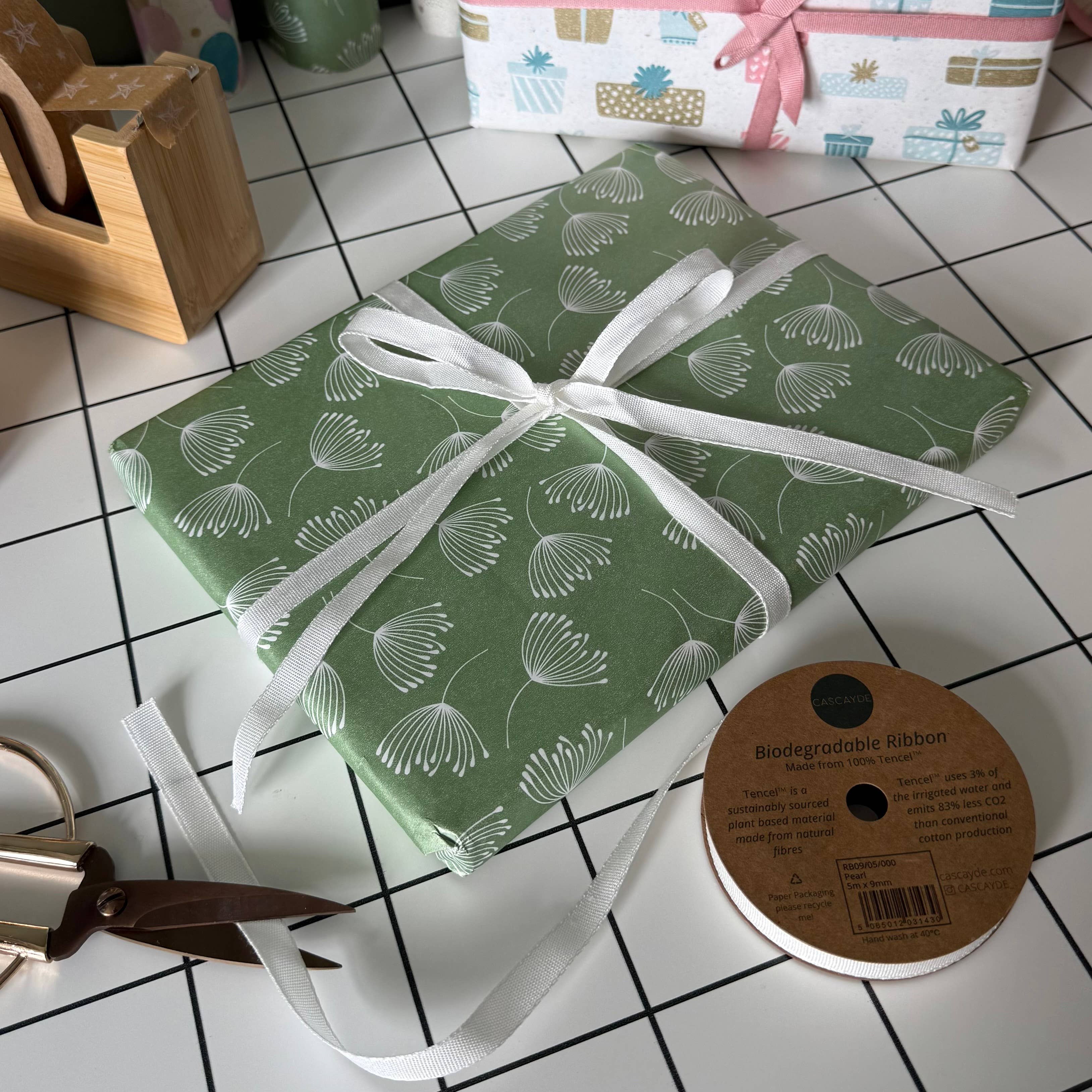 Cascayde - Wholesale Ribbon - Gift Wrapping - Pearl White Biodegradable Ribbon 5m Reel (9mm)5