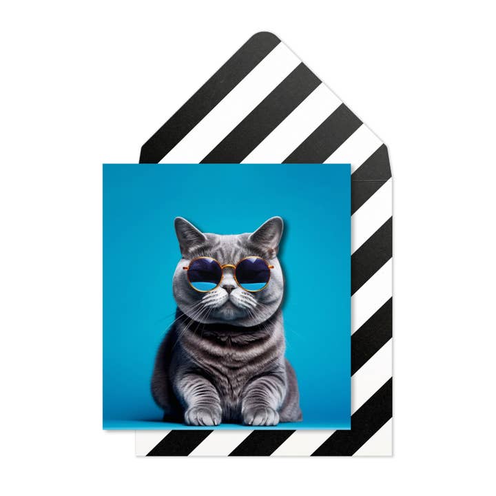 Tache - Wholesale Everyday Greeting Card - British Short Hair Cat2