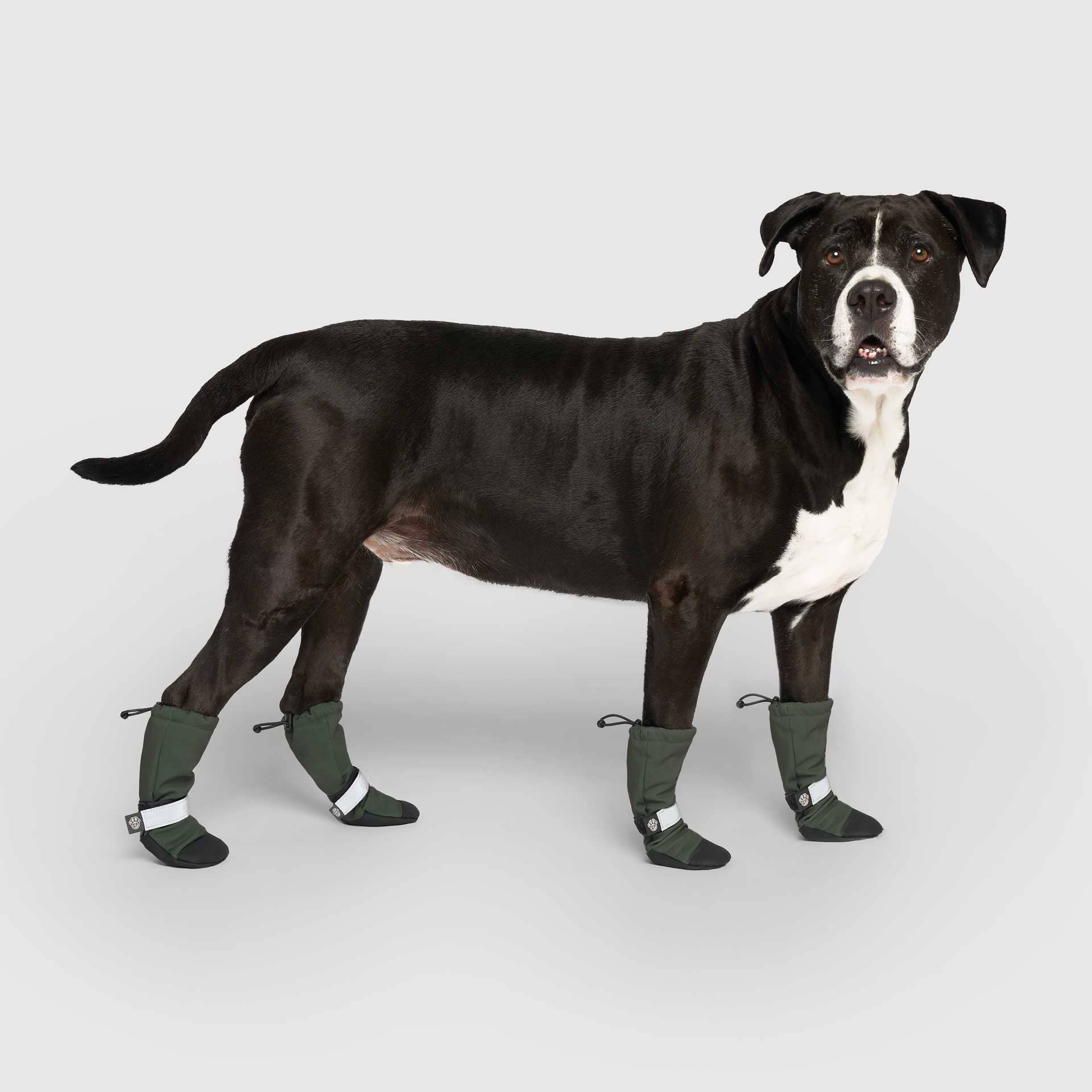 Canada Pooch - Wholesale Pet Boots - Dog - Soft Shield Boots- Dog Boots16