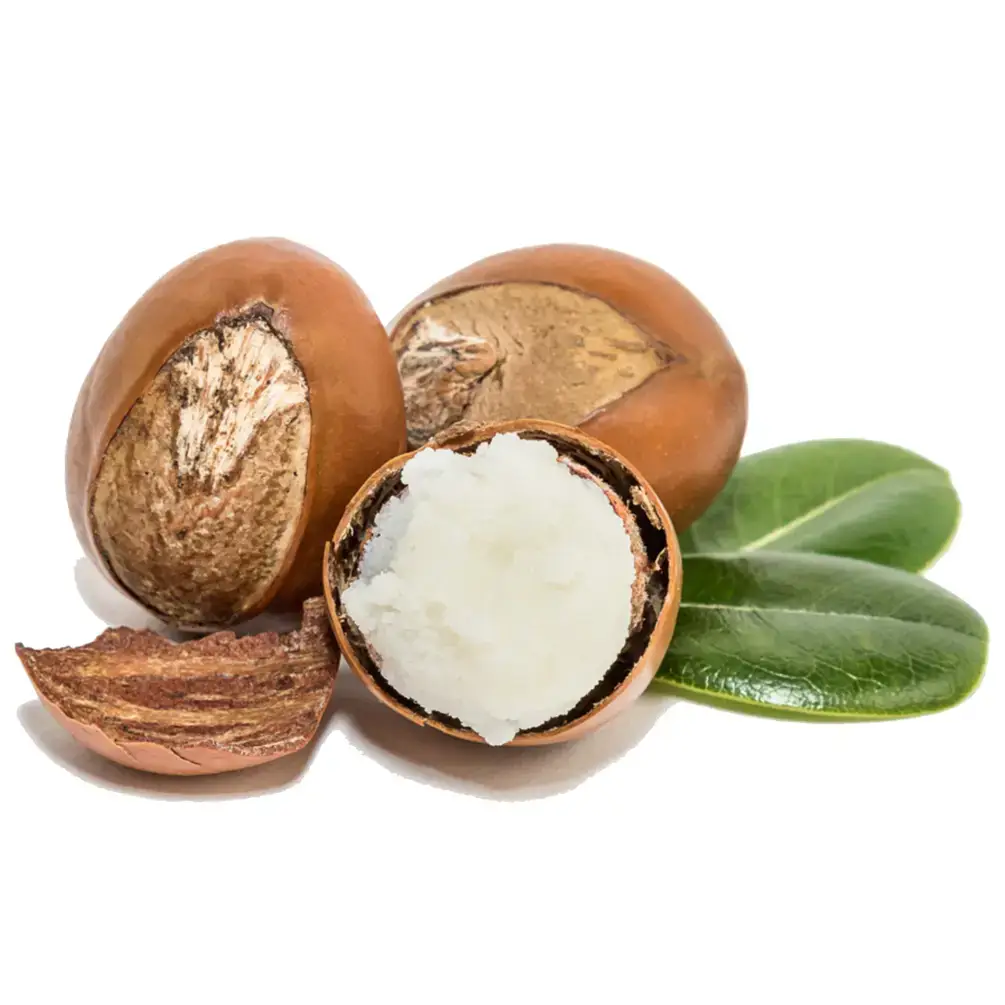 HalalEveryDay - Wholesale Body Balm/Butter - Ivory Shea Butter 45 lb. Block (Wholesale)1