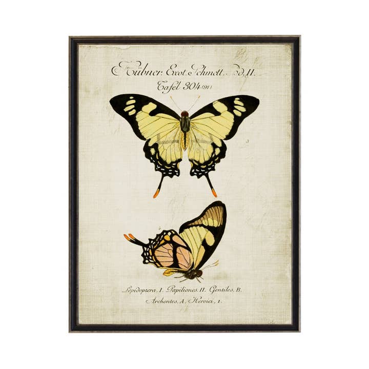 Vintage Yellow Butterfly Bookplate On Title Plate for wholesale by Antique Curiosities Inc