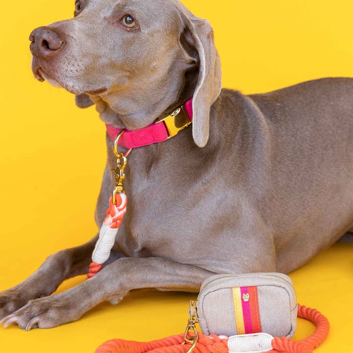 Pink Papyrus | Premium, Durable, & Stylish Dog Products – Engroshandel Hundeposedispenser – Adele Posedispenser & Godbidslomme | Affaldsposedispenser