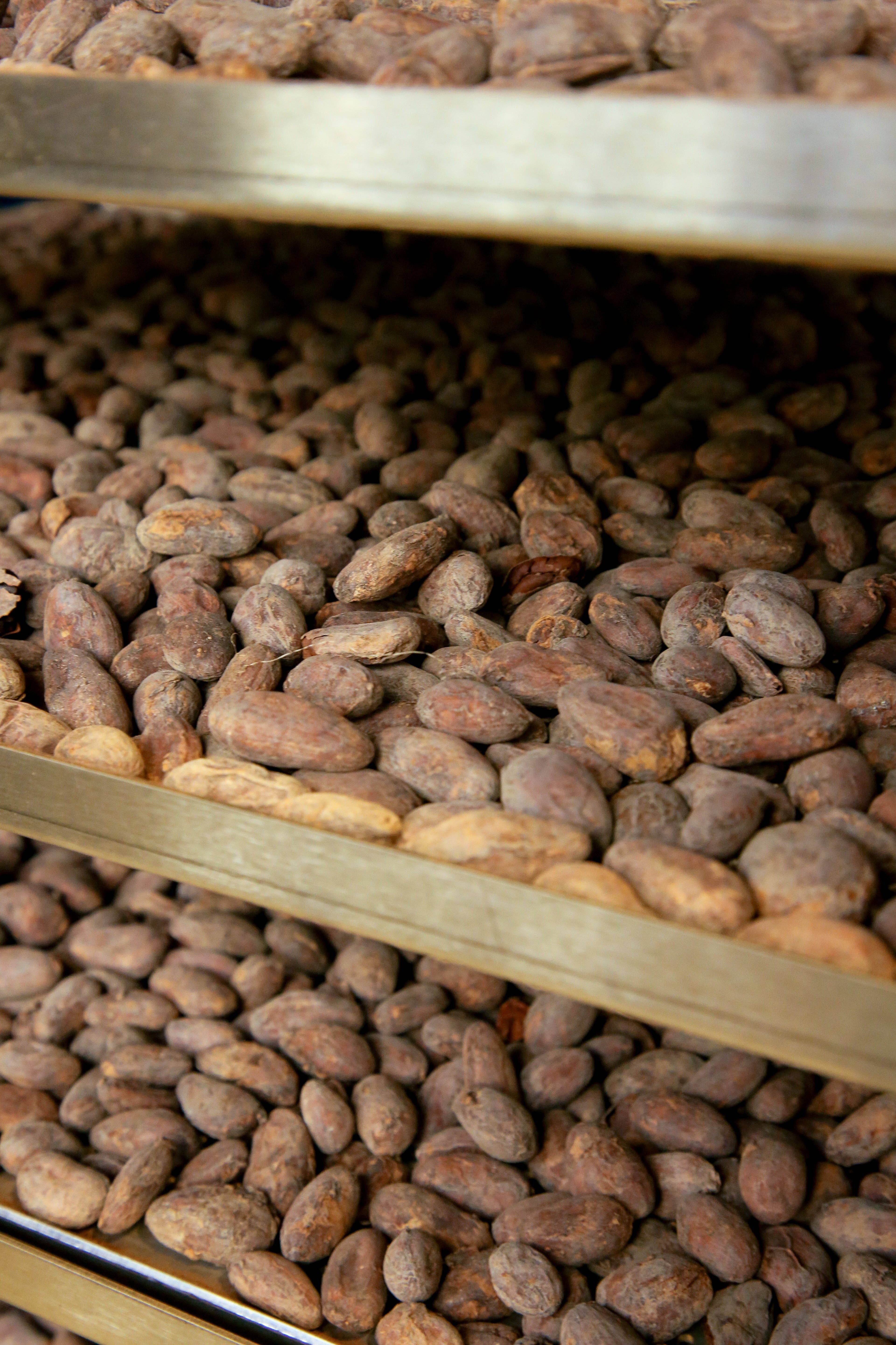 HERIO - Wholesale Chocolate - ORGANIC CHOCOLATE BAR WITH FLEUR DE SEL & ROASTED ALMONDS6