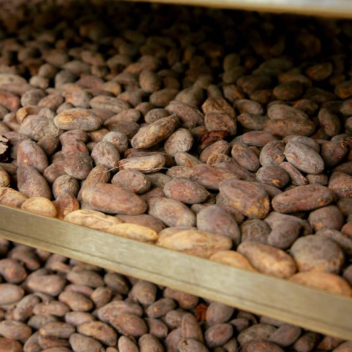 HERIO - Wholesale Chocolate - ORGANIC CHOCOLATE BAR WITH FLEUR DE SEL & ROASTED ALMONDS6