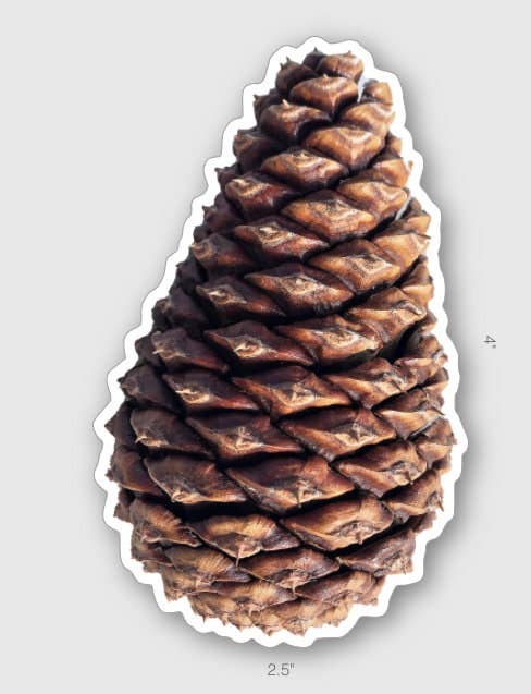 Stick Outside - Wholesale Sticker - Oregon Ponderosa Pine Pinecone Sticker1