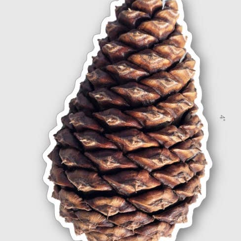 Stick Outside - Wholesale Sticker - Oregon Ponderosa Pine Pinecone Sticker1