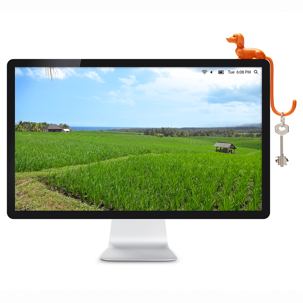 Monkey Business Design USA LLC - Wholesale Wall Hook - Dog Tail Hook For Computer Accessories | Rusty5