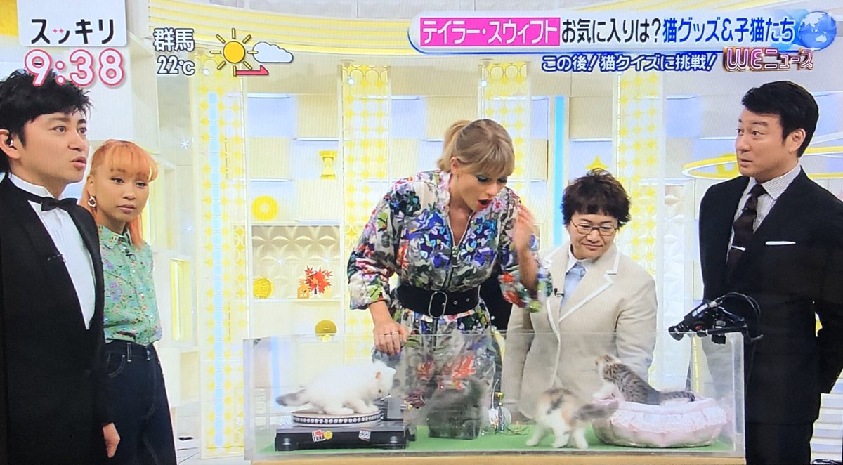 SUCK UK – wholesale Pet scratcher – Cat – Cat Scratch DJ Decks - unleash your cat’s inner DJ6