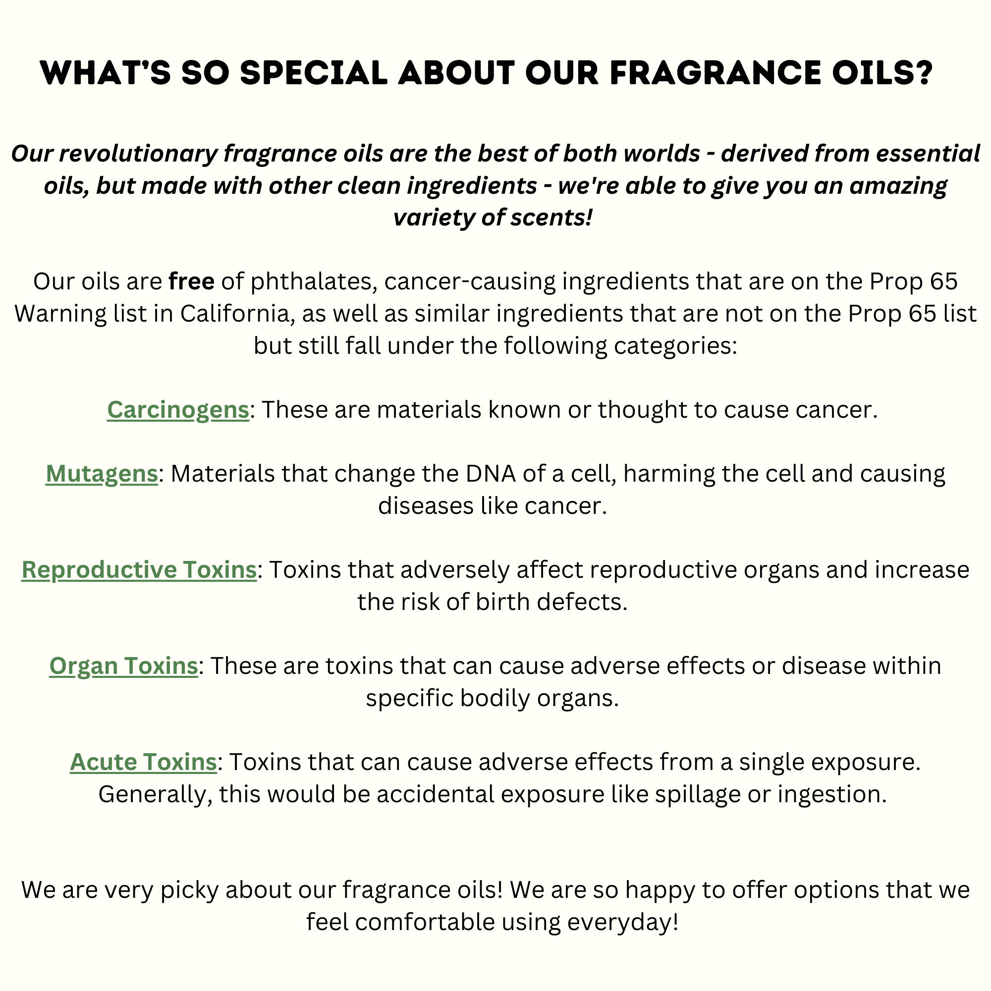 Vroom Blooms – Großhandel Auto-Lufterfrischer – Unisex – Pflanzen-Luftdiffusor für Autolüftungsschlitze (wiederverwendbar)9