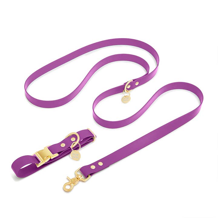 The PRECIOUS clip necklace for wholesale by Pop Dog